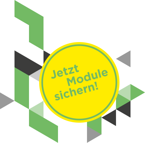 Module-Sichern.png